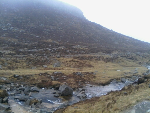 A damp Irish hillside close to my place of annual retreat