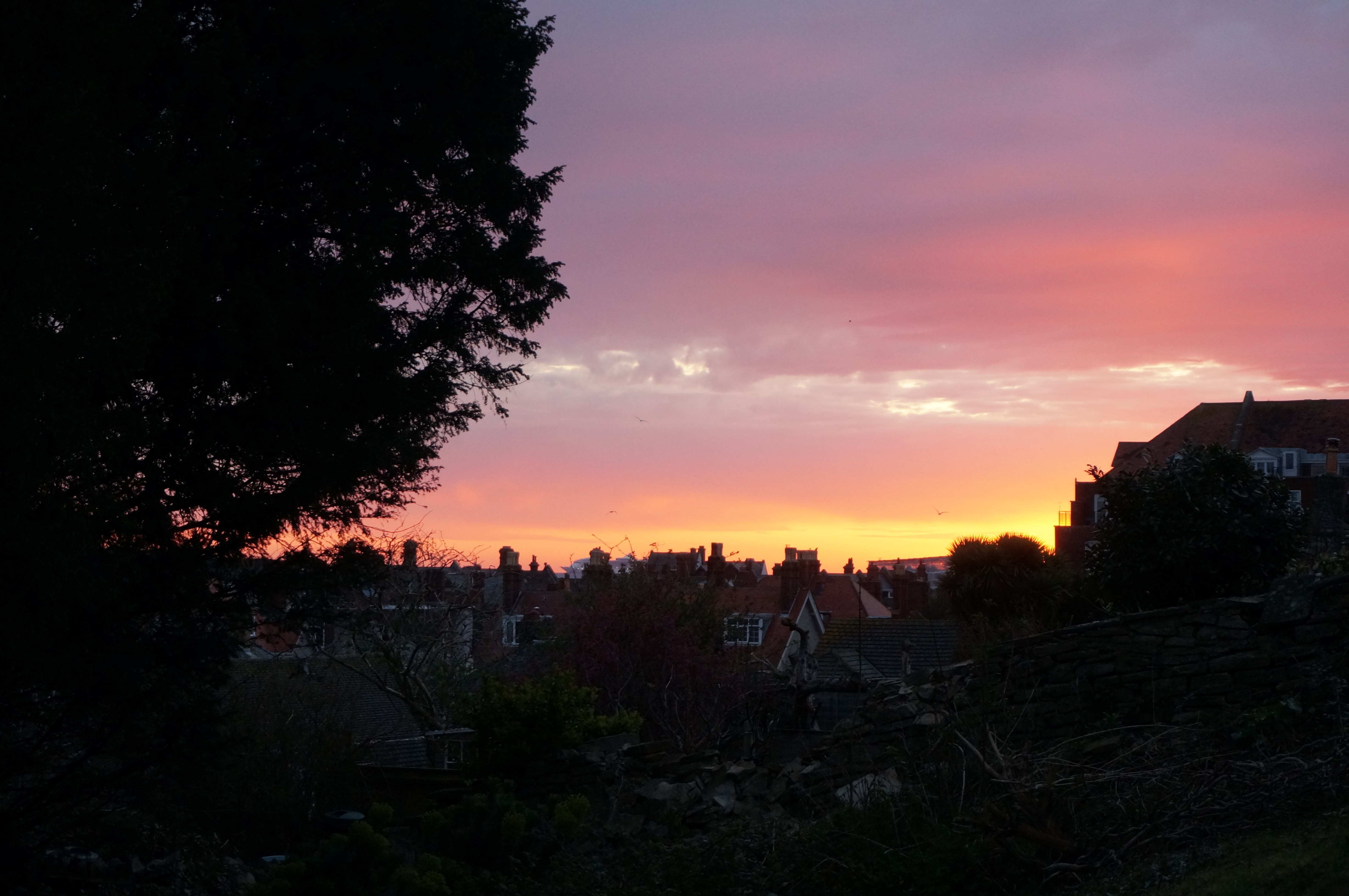 6.20 a.m. from the rectory garden yesterday